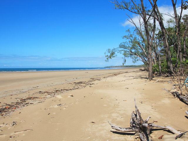 Make sure you pack your fishing gear when camping at Mulligan Bay camping area.