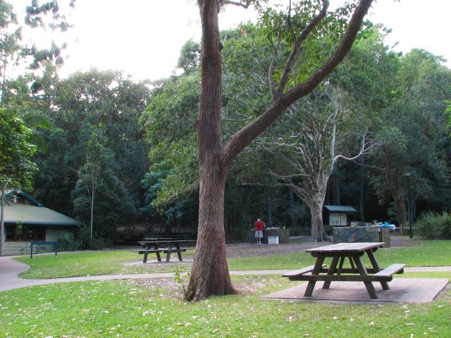 Enjoy a picnic or barbecue at Noosa Headland day-use area.