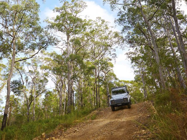 Photo of car escaping the city to the bush in the northern section of D'Aguilar, driving on dirt roads that wind through mountains and valleys.