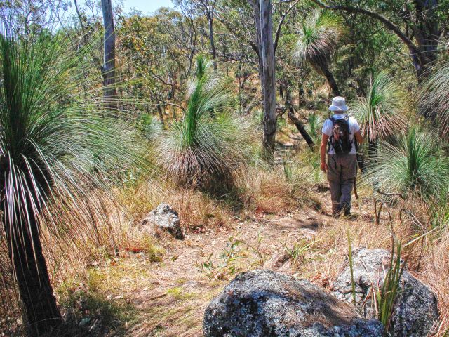 Immerse yourself in the rugged landscape of the Main Range.