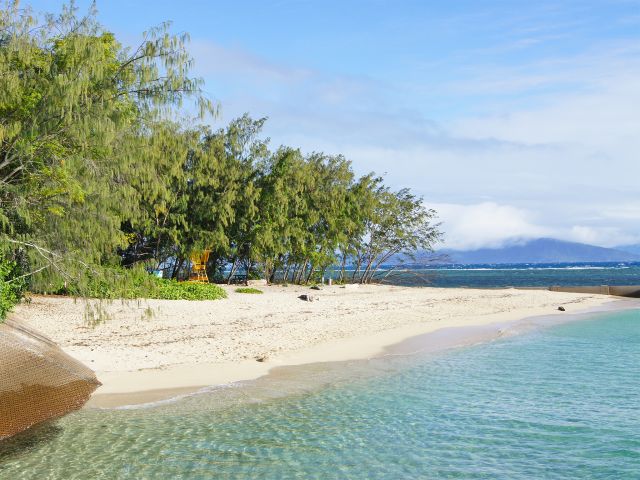 Enjoy a picnic lunch at the tables on the beach in the day-use area.