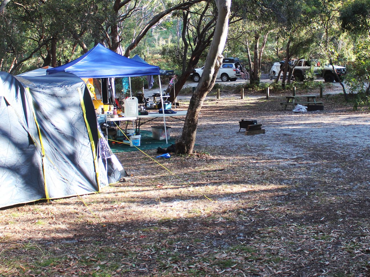 Waddy Point Top (tent site) camping area | K'gari, Great Sandy National ...