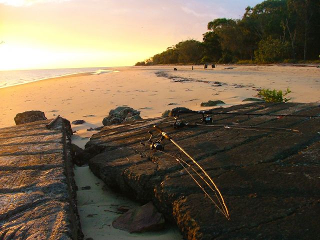 Pass a few hours fishing in the sunlit waters of the Great Sandy Strait.
