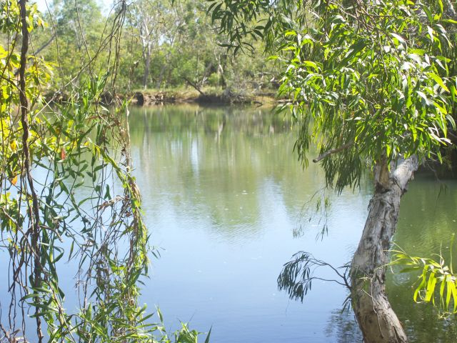 Basin Hole camping area is on a high bank above Jam Tin Creek.