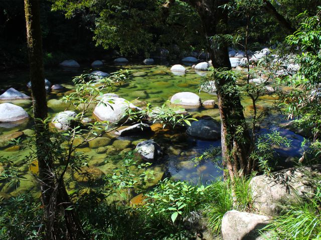 Explore along the rainforest-clad bank of the Mossman River on the Baral Marrjanga track.