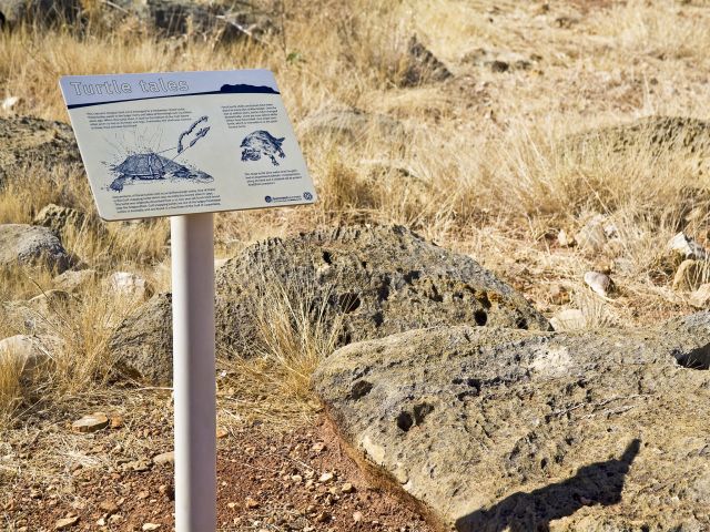 The fossilised ancestors of Australia's mammals date back 25 million years.