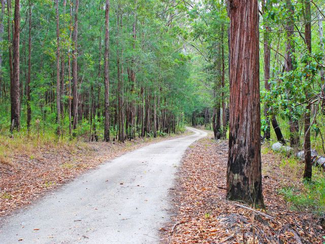 Explore this 43km circuit drive through the varied vegetation of the Lamb Range.