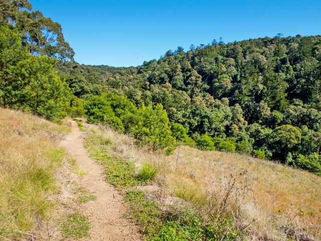 Pass through a grassy 'bald' on the Barker Creek circuit.