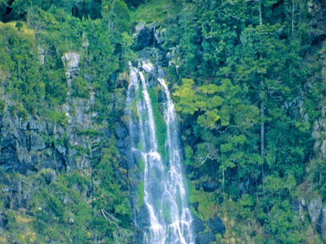 The Bunya Mountains’ tallest waterfall, Big Falls, only forms after heavy rain.