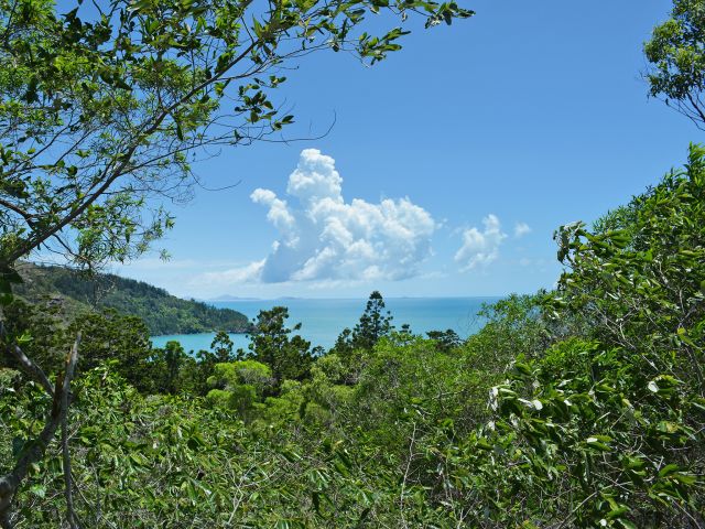 Hike to the top of a ridge for views of Beachcomber Cove.