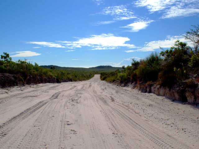 Open heath alongside the Bulwer–North Point Road on the Northern Island discovery drive.