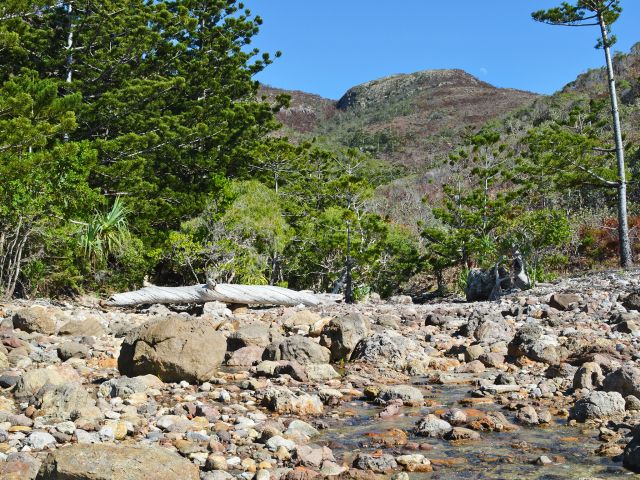 Scenic view along the Beachcomber Cove track.