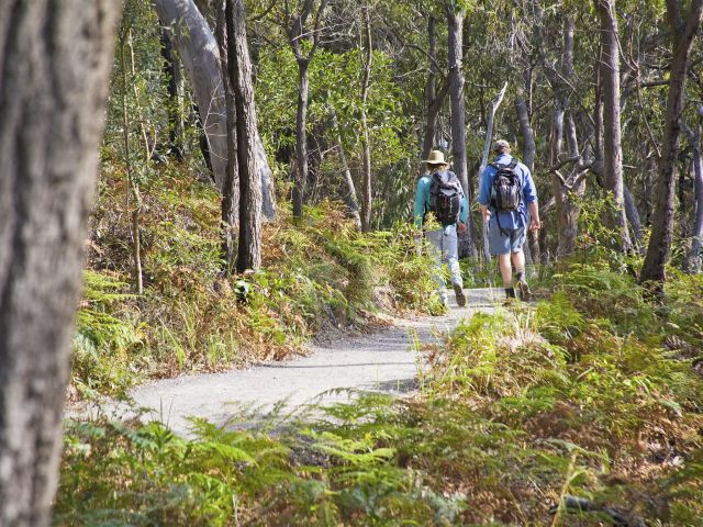 Take a leisurely stroll through eucalypt forests along the Carlow Sandblow walk.