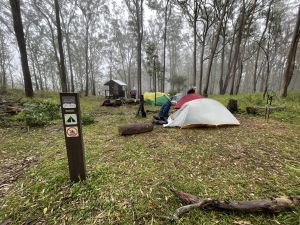 Image of tents in the mountains surrounded by towering trees. 