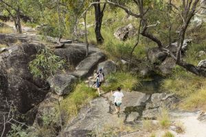 Photo of bottom of Emerald Creek Falls walking track, Dinden West Forest Reserve