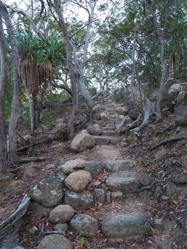 Natural stone steps leading up through dry rainforest.