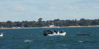Small boat on water with staff rescuing stranded whale.