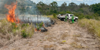 Rangers conducting planned burn
