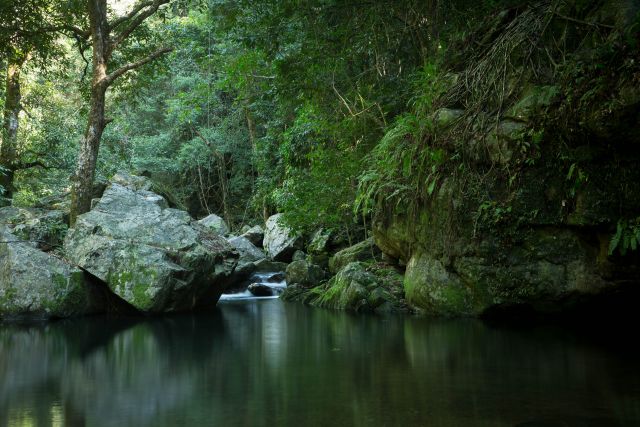 Photo of Garndal Garndal weir track which passes crystal clear pools and small waterfalls