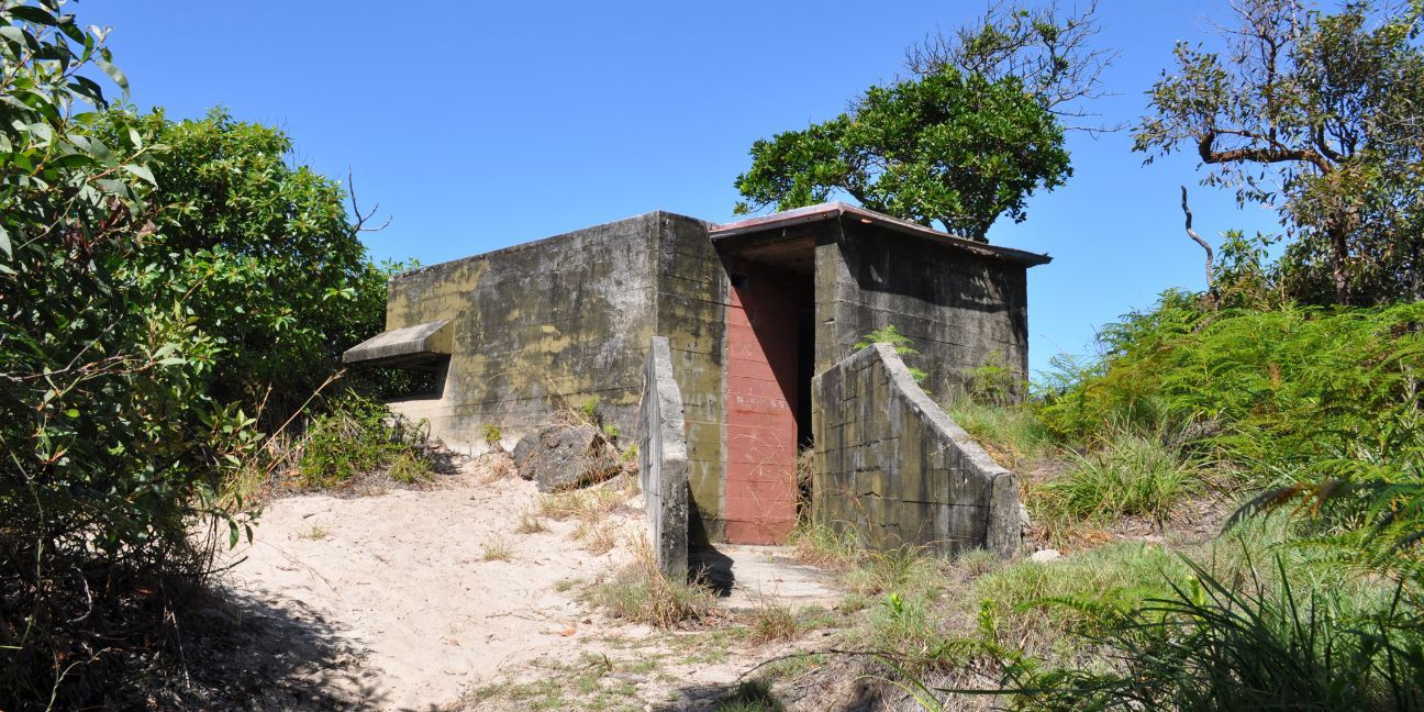 Concrete bunker among vegetation.