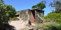 Concrete bunker among vegetation.
