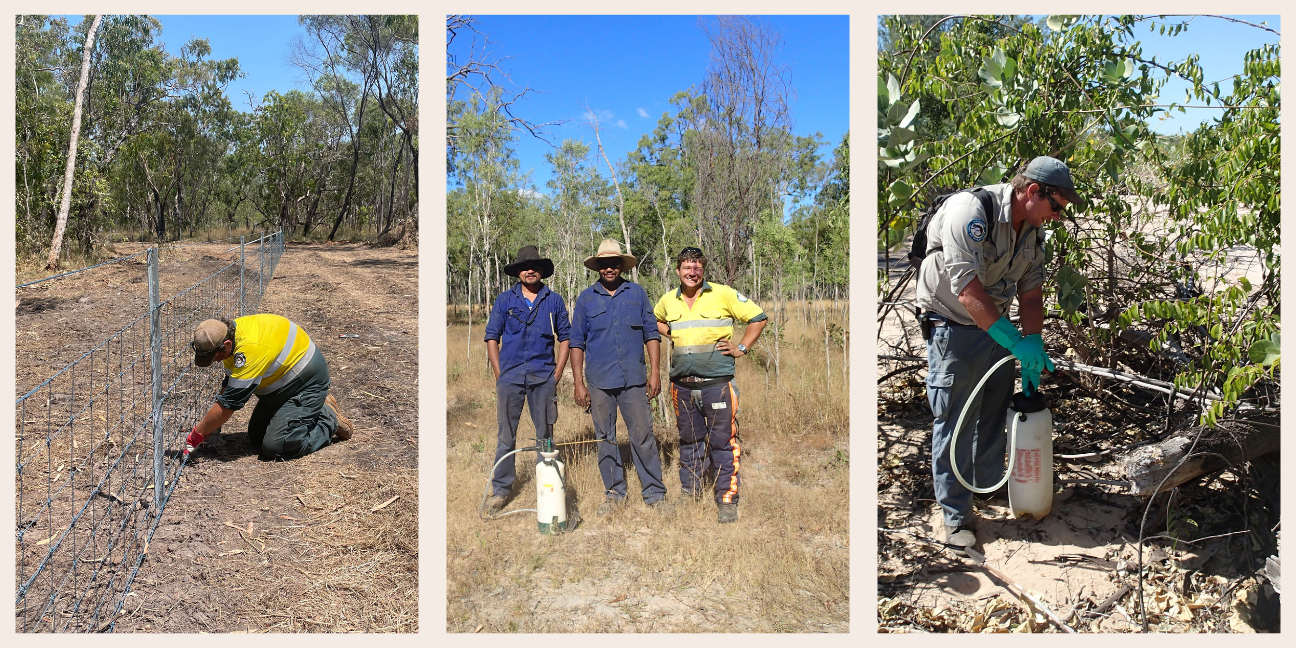 Left: Rob in high vis uniform working on a fence line. Middle: Rob and two other staff with a weed sprayer, smiling at the camera. Right: Rob spraying for weeds