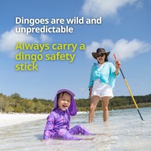 Image of Be dingo-safe social tile - Always carry a dingo safety stick