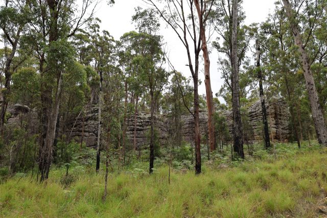 Sandstone outcrops with trees and grasses in the foreground.