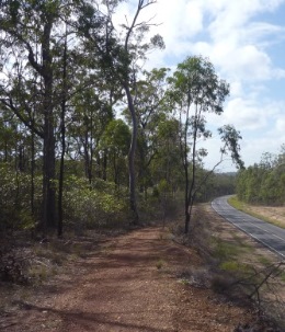 Bitumen access roads lead to Toogoom mountain bike trails in Vernon State Forest. 