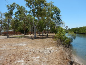 Image of Camping area 1.