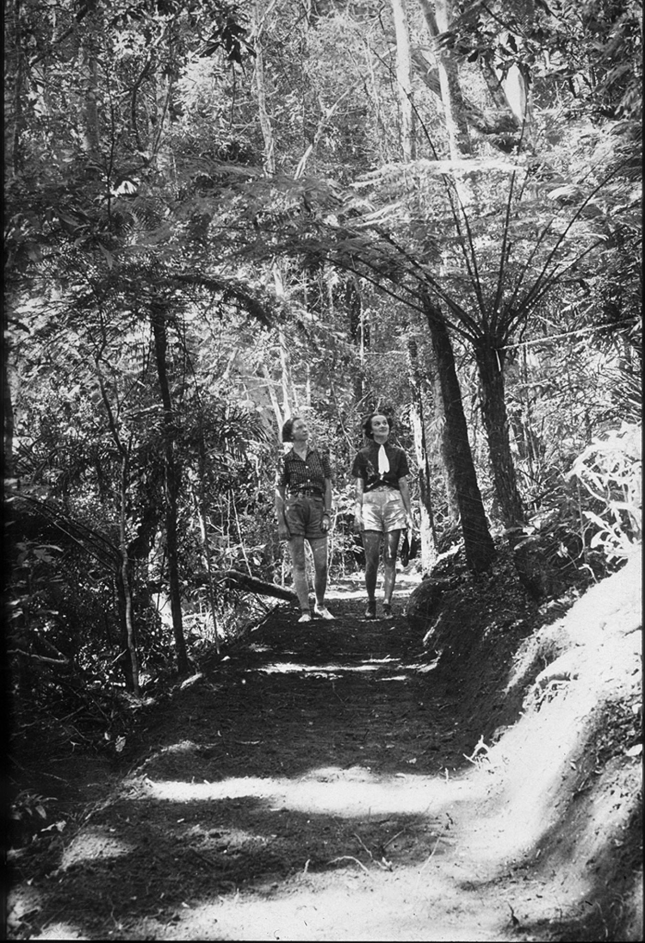 Walkers testing out the new tracks at Binna Burra, circa 1930s.