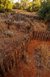 Homestead yards, Thrushton National Park. 