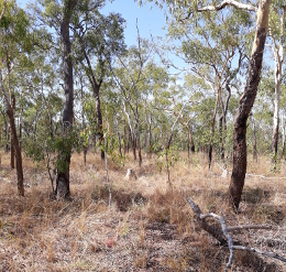 Wúndu camping area 