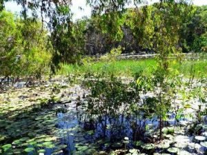  Walk around the lagoon edge.