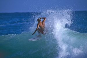 Surfing is a popular recreational activity in the waters surrounding the island. Camp on the beach, then enjoy a morning surf. 