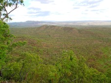 Views across the dry landscape of the park. 