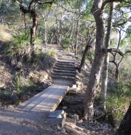 The 1.2km Round Hill Creek track has shady and undulating sections. 