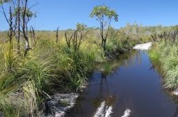 Track sections that pass through wet heathland are often waterlogged in the wetter months, particularly from January to June. 