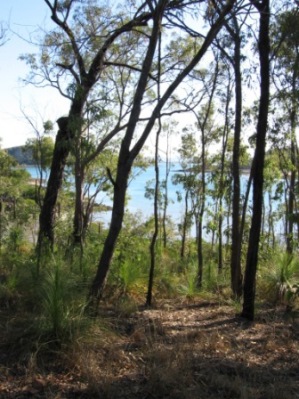 View from Outer Newry Island camp site. 