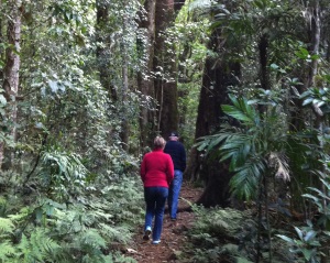 Image of a couple doing a short walk through rainforest to Sylvesters and Mount Castle lookouts will reward you with expansive views of the Scenic Rim.