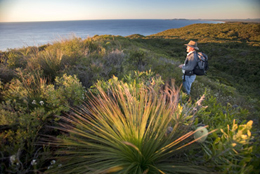 Photo of a walker on the path with grassy vegetation around them.