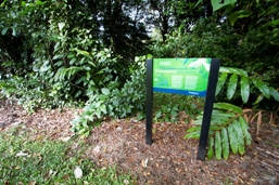 Interpretive signs explain traditional plant uses.