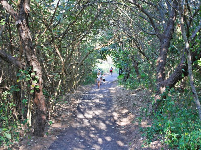 The trail is popular with walkers and cyclists.