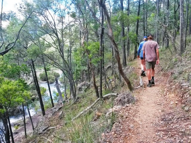 The Permanent Waterhole track is a gently sloping walk leading upstream along Ooline Creek.