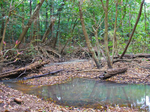 Enjoy the tranquillity of Gordon Creek.