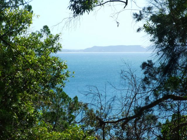 Catch glimpses of the ocean from the top of Noosa Hill.