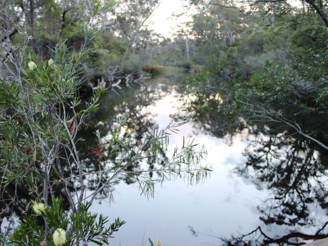 Feel the serenity at Dr Roberts Waterhole.