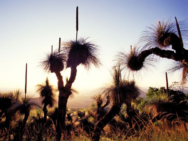 The Mount Kiangarow track is a great walk at any time of day, but is especially beautiful at sunrise and sunset.