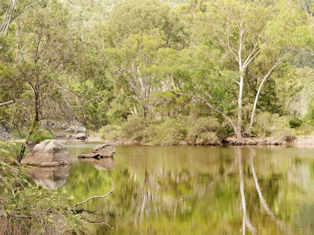 Catch reflections upon the still waters of Permanent Waterhole.