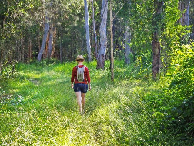 Wind your way through the allocasuarina and paperbark forests on the way to Mill Point.